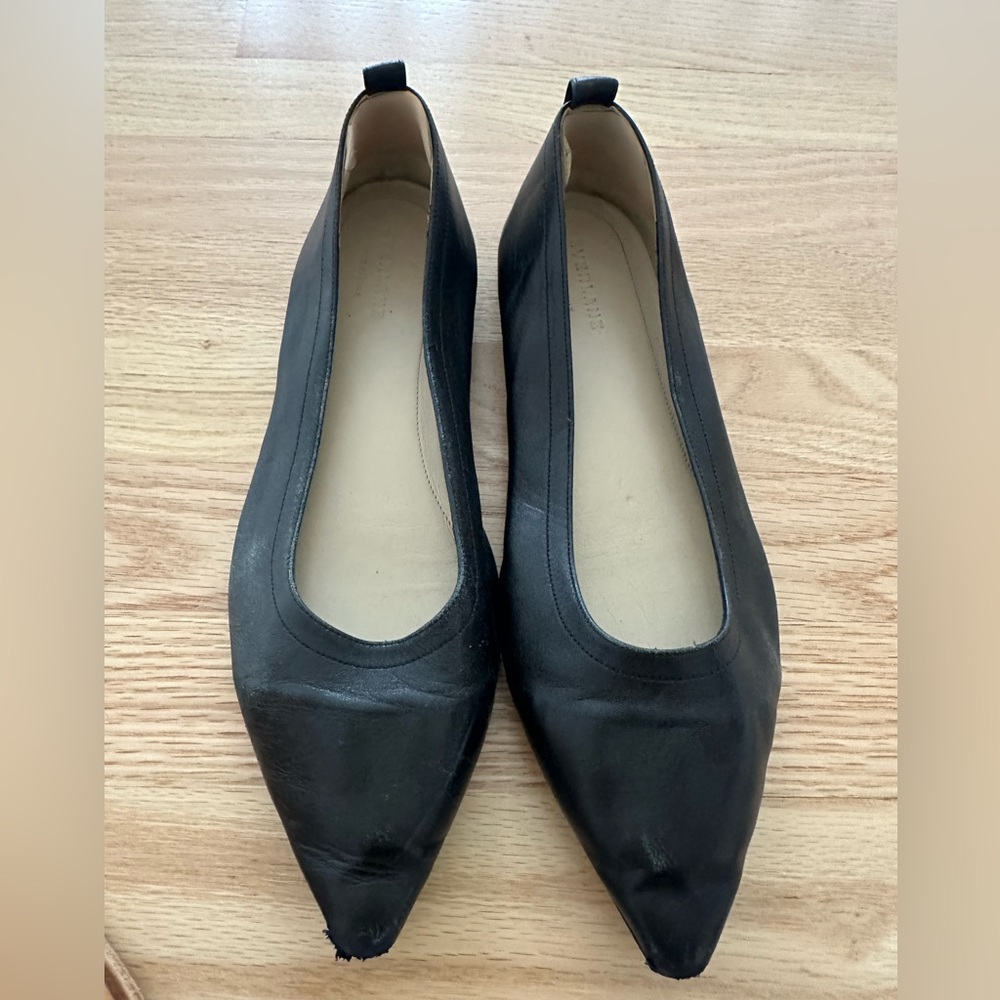 Everlane pointed toe ballet flats